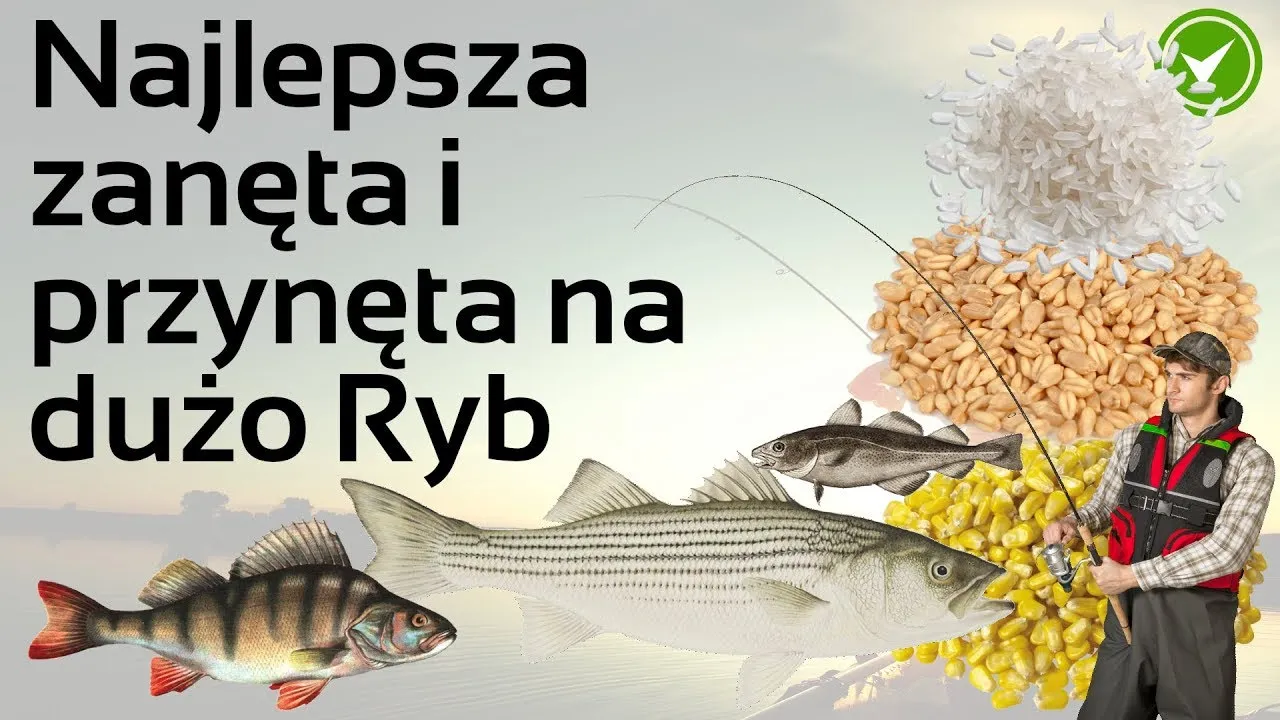 Zdjęcie Skuteczne domowe przynęty na ryby - tanie przepisy, które działają