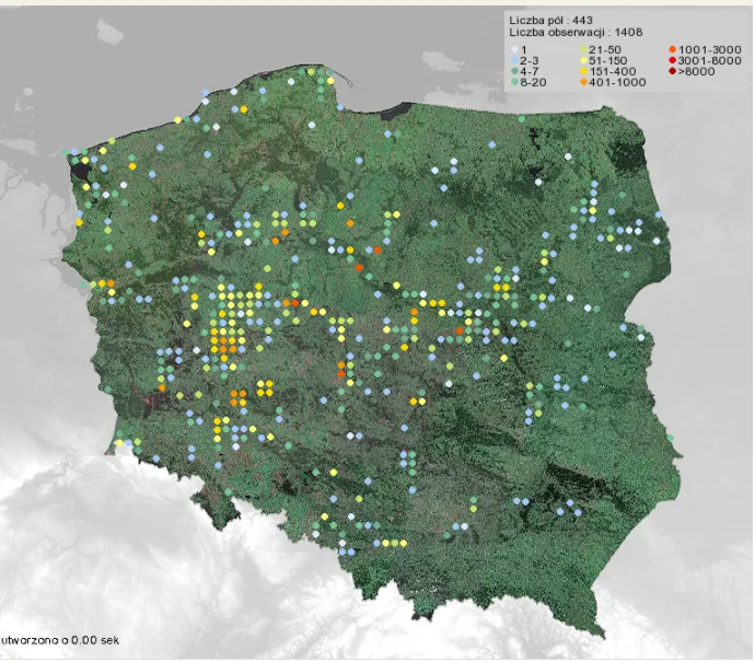 Zdjęcie Czy żurawie zimują w Polsce: Fascynujące fakty o życiu tych ptaków zimą
