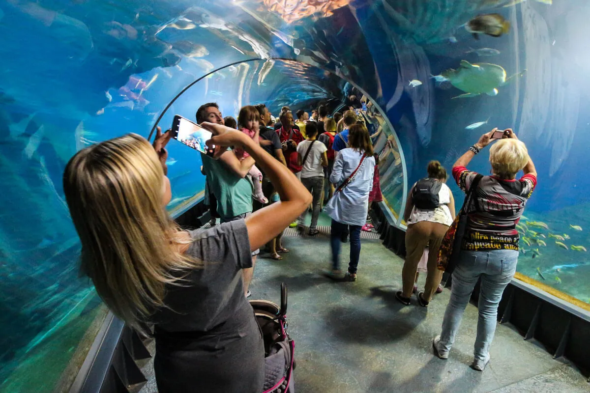 Zdjęcie Czy afrykarium i oceanarium to to samo? Poznaj zaskakujące różnice