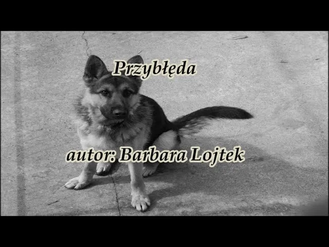 Zdjęcie Mój przyjaciel pies wiersz - odkryj piękno przyjaźni z psem