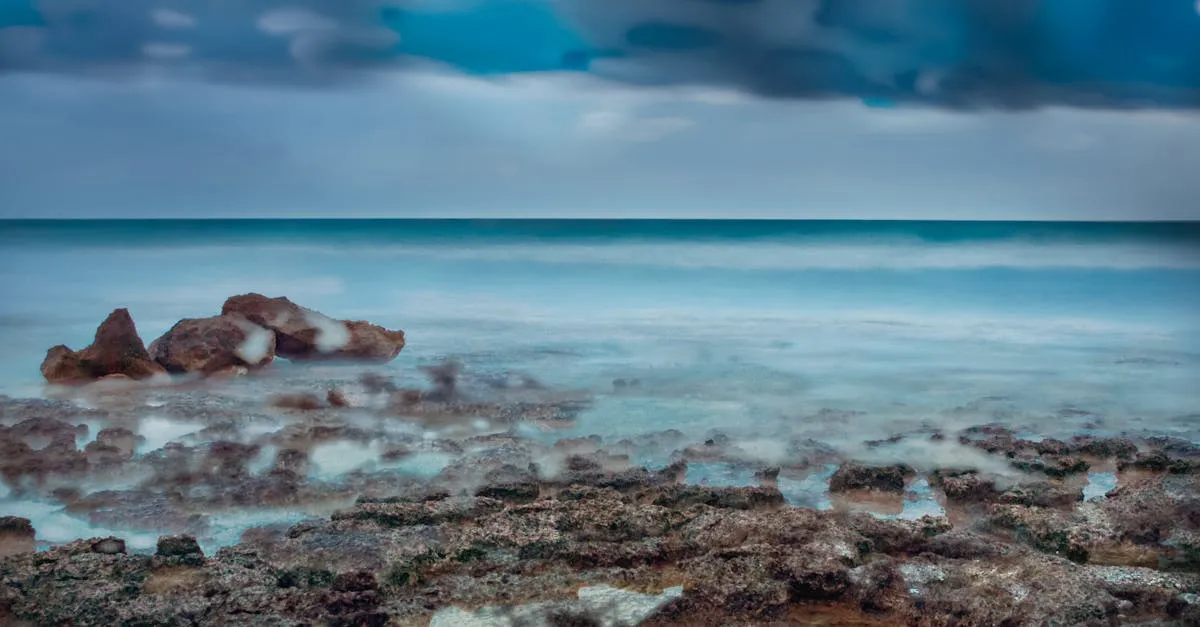 Zdjęcie Filmy o delfinach: czy zmieniają nasze podejście do oceanów?