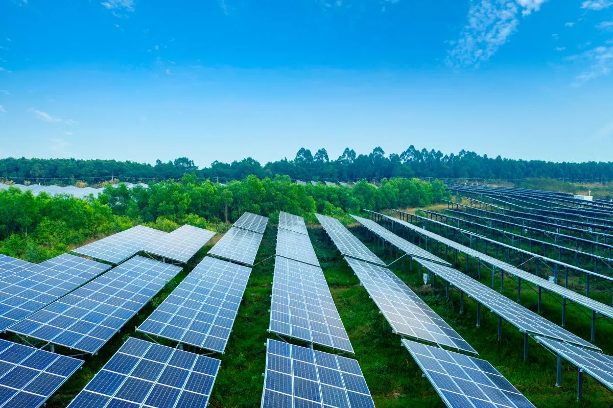 Zdjęcie Fotowoltaika co to takiego? Zrozum, jak oszczędzać na energii