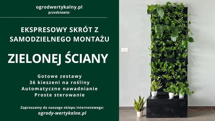 Zdjęcie Jak stworzyć zieloną ścianę w salonie: 5 prostych kroków