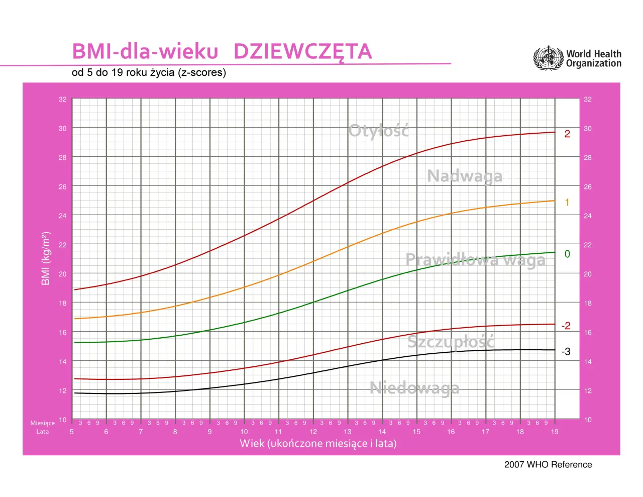 Zdjęcie Jakie bmi do wieku? Sprawdź, czy twoje wyniki są prawidłowe