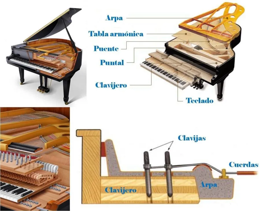 Zdjęcie El embrague de piano de cola: funciones esenciales de los pedales
