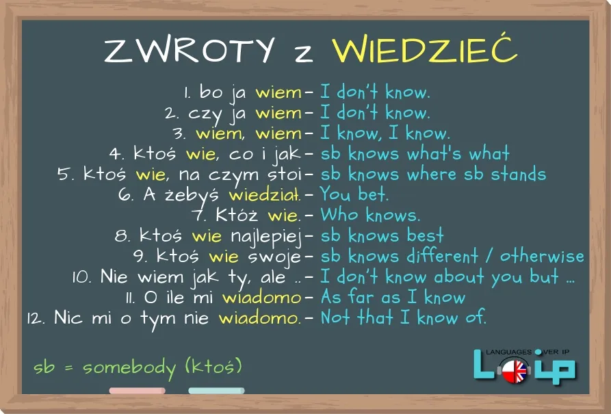 Zdjęcie Poprawna pisownia nie wiem: nie popełniaj tego ortograficznego błędu