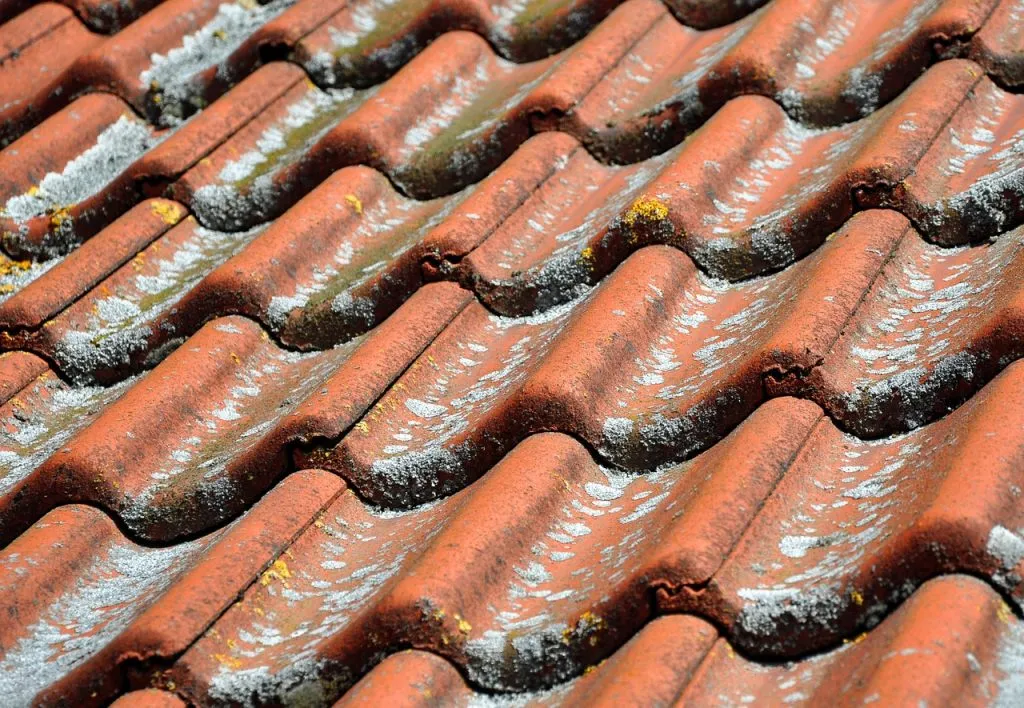 Zdjęcie Jak skutecznie umyć dachówkę ceramiczną, by uniknąć uszkodzeń?
