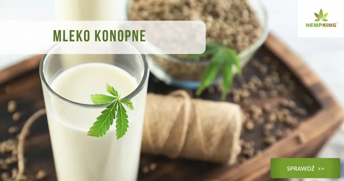 Zdjęcie Gdzie znaleźć mleko w promocji? Sprawdź najlepsze oferty i zniżki