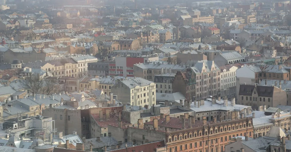 Zdjęcie Czy w Lipnicy Murowanej rosną najwyższe palmy wielkanocne? Fakty