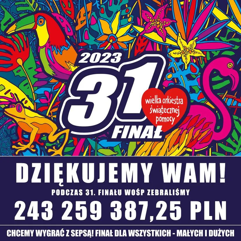 Zdjęcie Ile sprzętu kupiła WOŚP i jak wpłynęło to na polską medycynę?