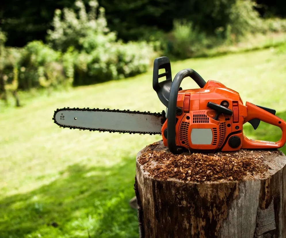 Zdjęcie Pilarka spalinowa jaką wybrać – uniknij błędów przy zakupie