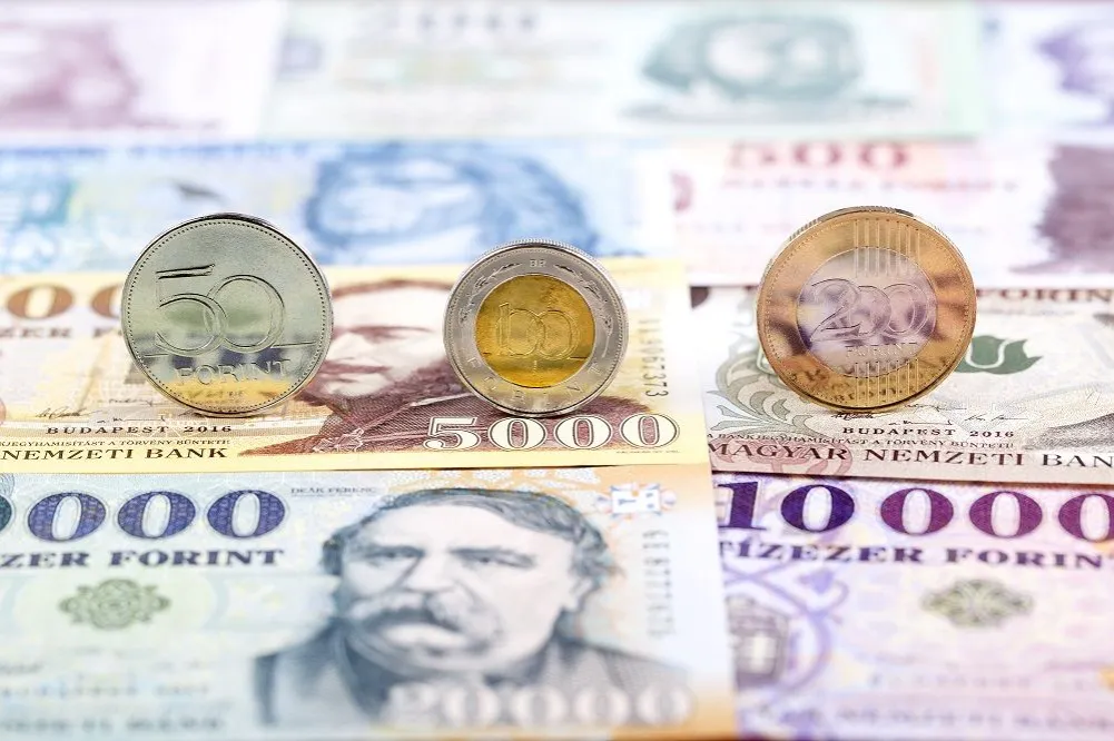 Zdjęcie Jaka waluta obowiązuje na Węgrzech? Wszystko o forincie węgierskim i wymianie