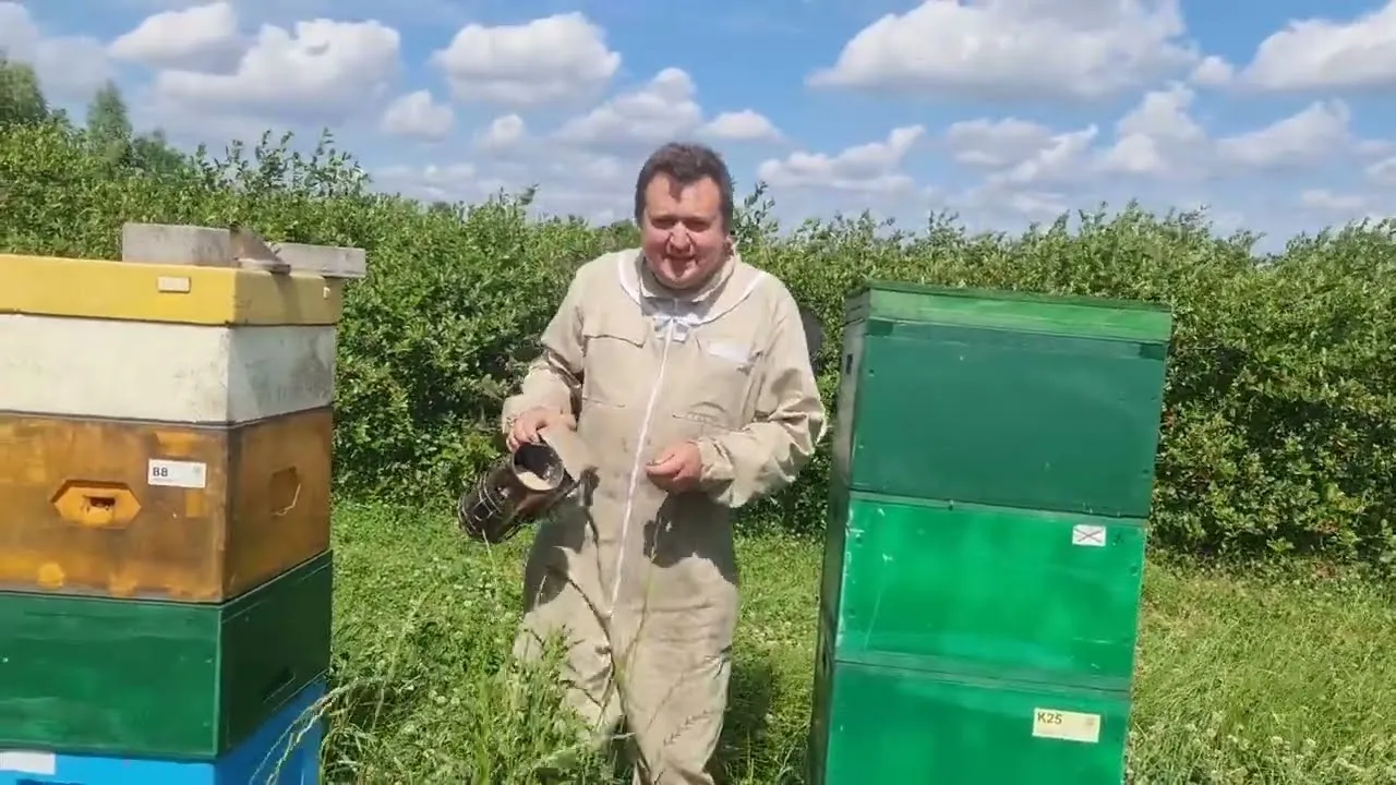 Zdjęcie Filmy o pszczołach: odkryj niezwykłe historie i ich znaczenie dla natury