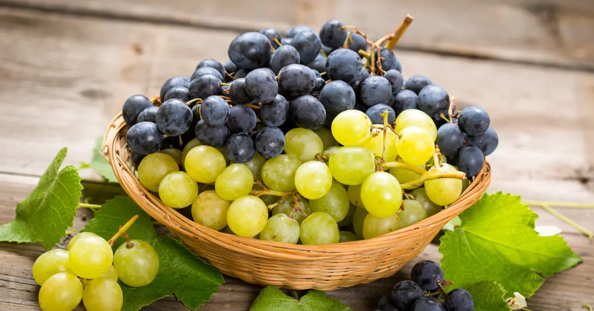 Zdjęcie Die überraschenden Vitamine in Weintrauben und ihre Gesundheitsvorteile