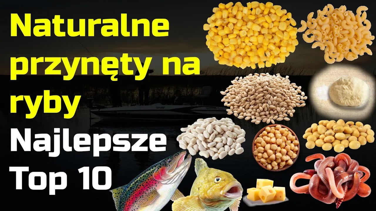 Zdjęcie Najlepsze przynęty wędkarskie naturalne, które przyciągną ryby w każdych warunkach