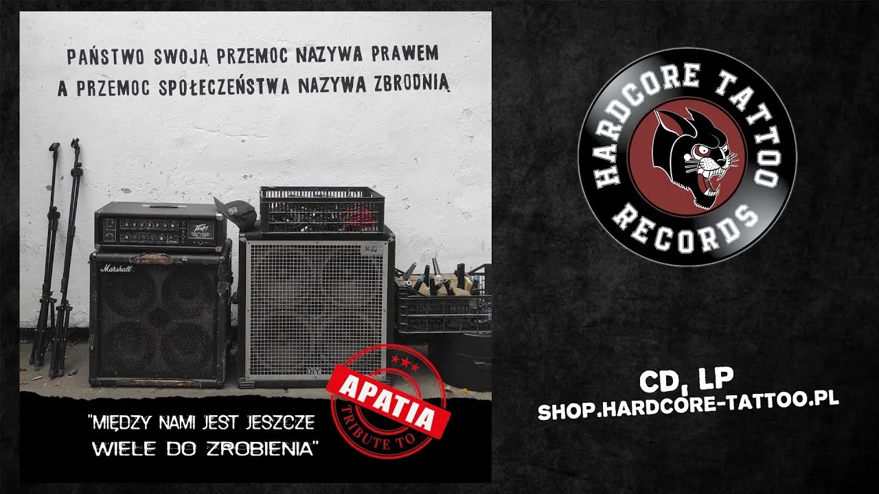 Zdjęcie Apatia rasizm - analiza tekstu i przesłania piosenki, która porusza