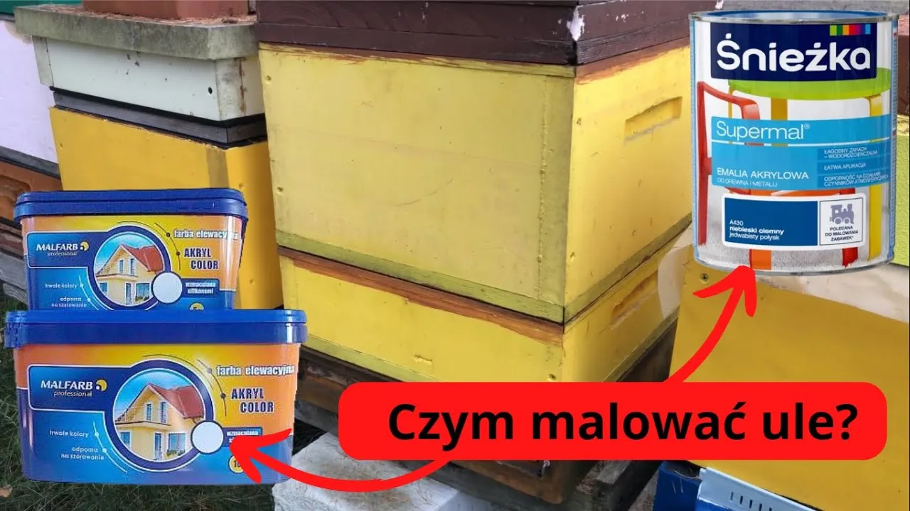 Zdjęcie Czym malować ule styrodurowe, aby nie zaszkodzić pszczołom?