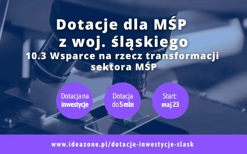 Zdjęcie Dotacje dla firm śląsk: kompleksowy przegląd możliwości wsparcia