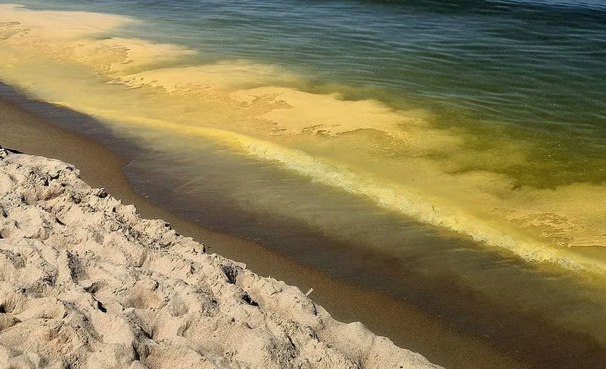 Zdjęcie Jak wygląda Morze Bałtyckie? Kolor wody, plaże i zmiany krajobrazu