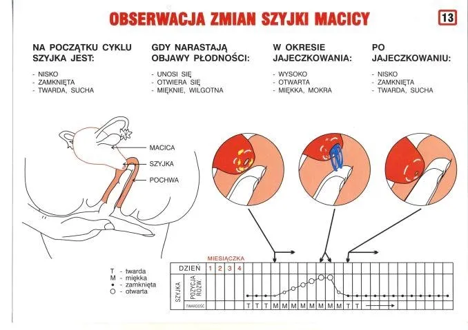 Zdjęcie Masaż szyjki macicy przed porodem: procedura, korzyści, ryzyko