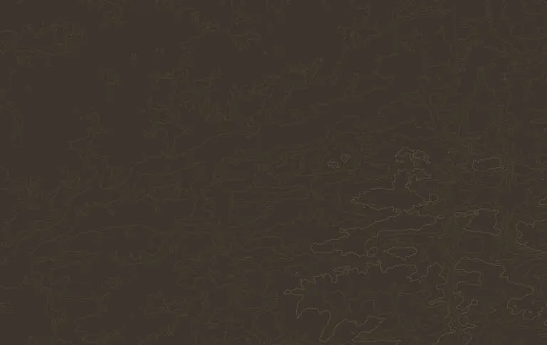 Zdjęcie Najciekawsze atrakcje w Radzyminie, które musisz zobaczyć
