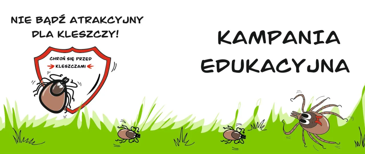 Zdjęcie Jak zapobiec boreliozie? Kompletny przewodnik ochrony przed kleszczami