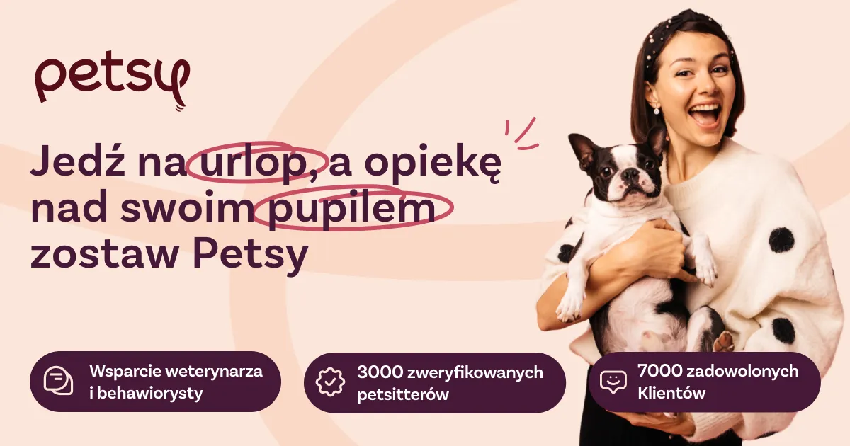 Zdjęcie Gdzie z psem na spacer w Poznaniu? Odkryj ukryte miejsca i trasy
