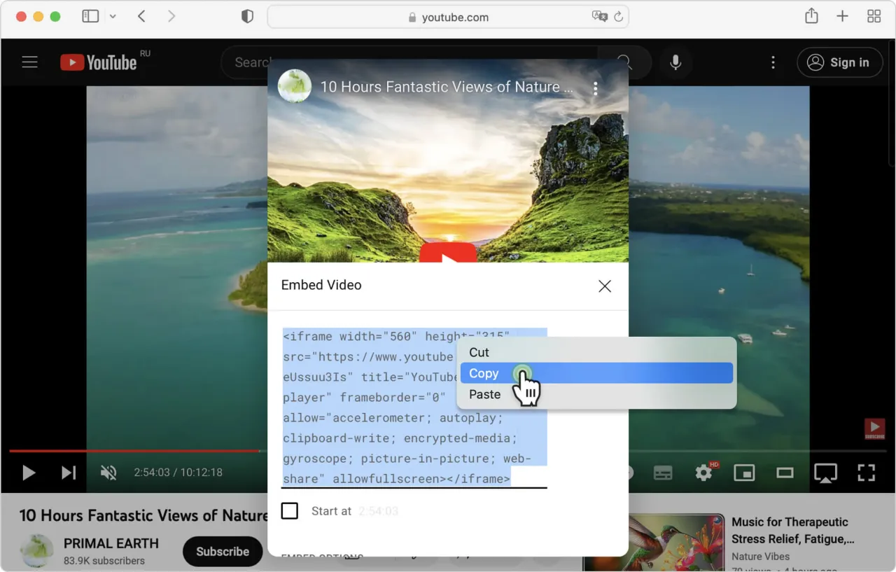 Zdjęcie Osadzanie wideo HTML: <video>, <iframe> i skuteczne rozwiązania