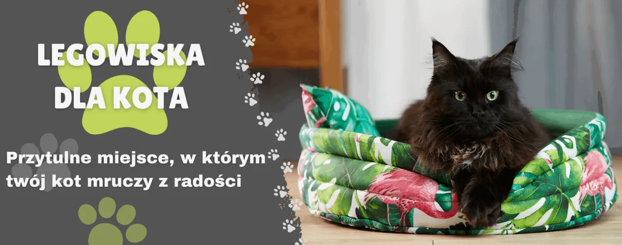 Zdjęcie Jak uszyć legowisko dla kota, które zapewni mu komfort i bezpieczeństwo