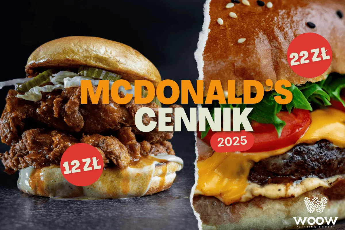 Zdjęcie Ile kosztują frytki w maku? Zaskakujące ceny dużych frytek!