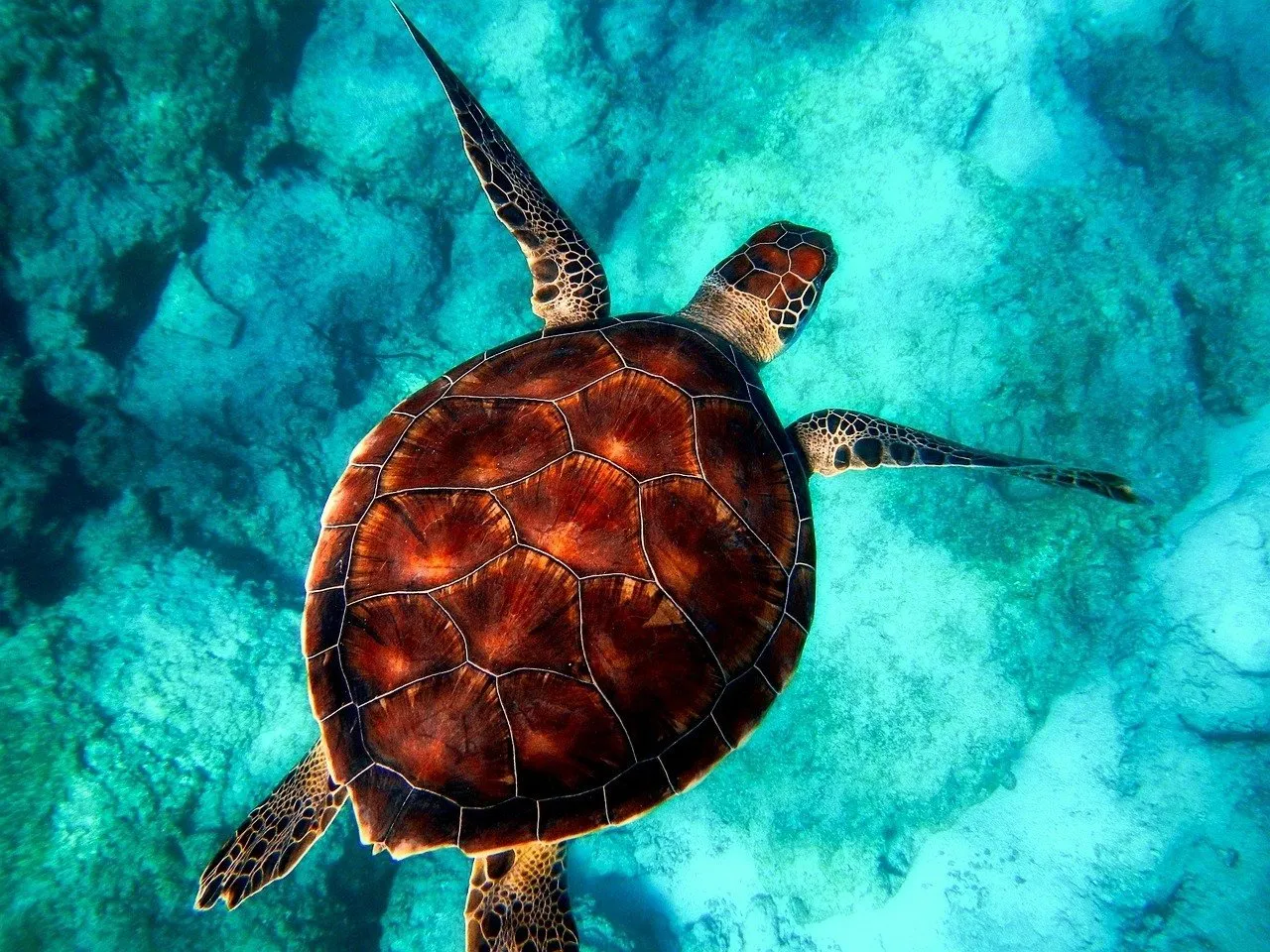 Zdjęcie Ile oceanu jest odkryte? Zaskakujące fakty o badaniach oceanów