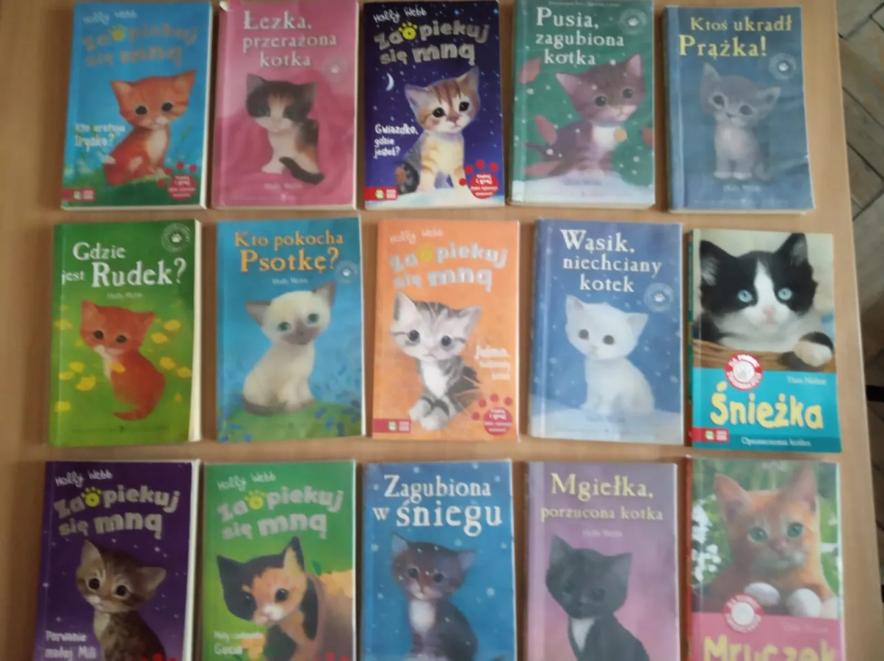 Zdjęcie Gdzie jest kotek? Odkryj fascynujące książki dla dzieci o kotkach