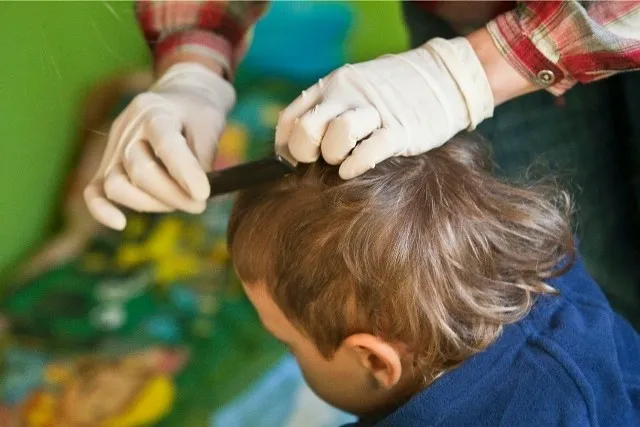 Zdjęcie Czy dziecko z wszami może chodzić do przedszkola? Przepisy i porady dla rodziców
