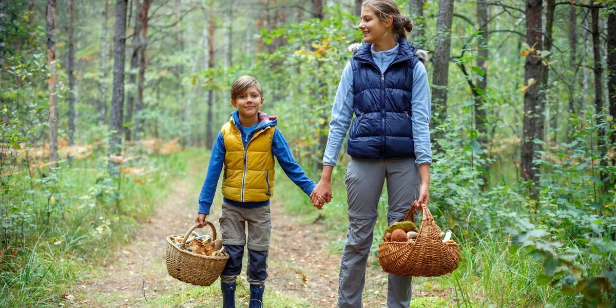Zdjęcie Kiedy jest sezon na grzyby? Poznaj najlepsze miesiące na zbiór