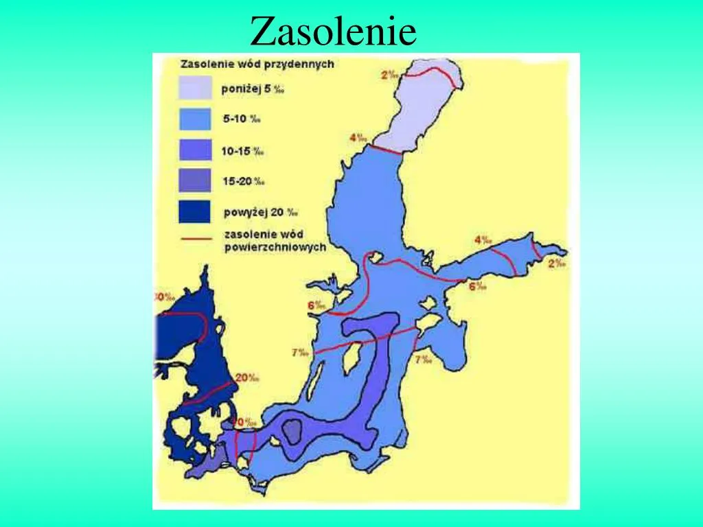 Zdjęcie Jak głębokie jest Morze Bałtyckie? Zaskakujące fakty o jego głębokości i wpływie na ekosystem