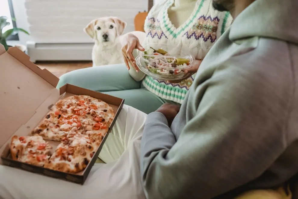 Zdjęcie Czy pies może jeść czerwoną fasolę? Bezpieczeństwo i zagrożenia w diecie psa