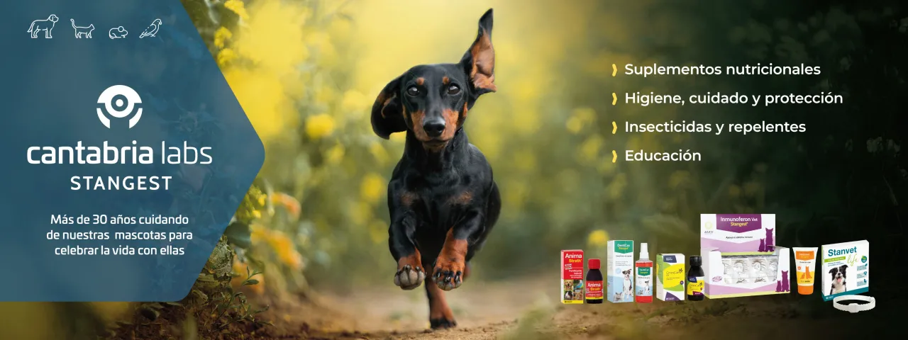 Zdjęcie Comercial veterinaria en Cantabria: productos y servicios esenciales