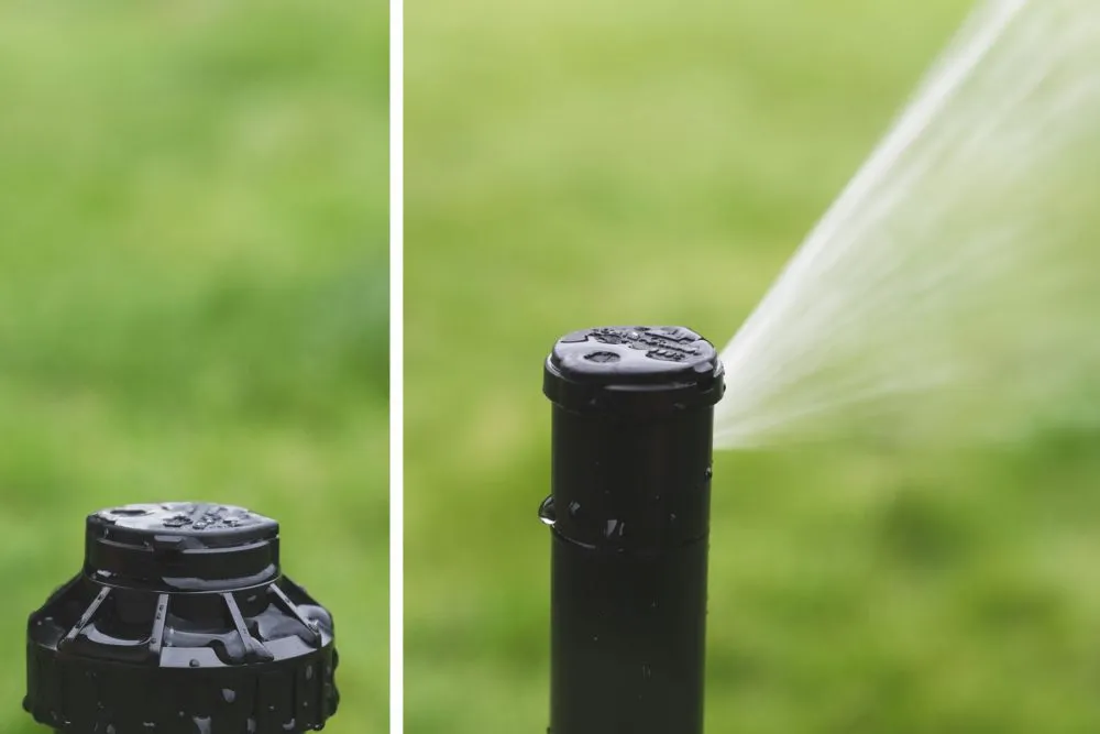 Zdjęcie Jak ustawić zraszacz ogrodowy? Poradnik krok po kroku