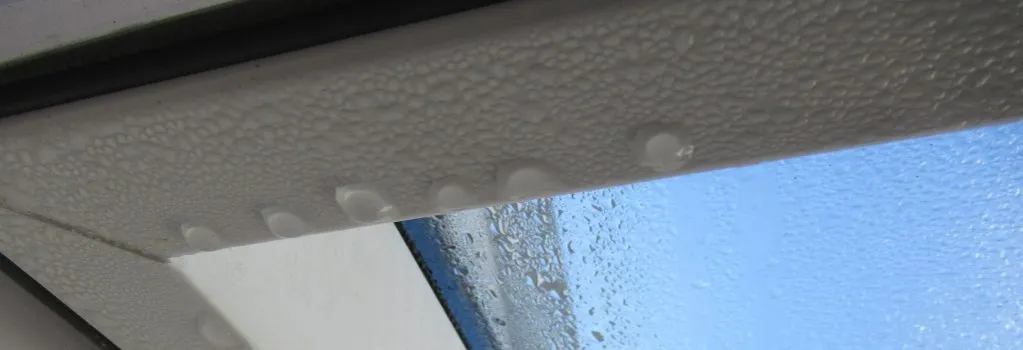 Zdjęcie Dlaczego jest wilgoć na oknach i jak skutecznie ją usunąć