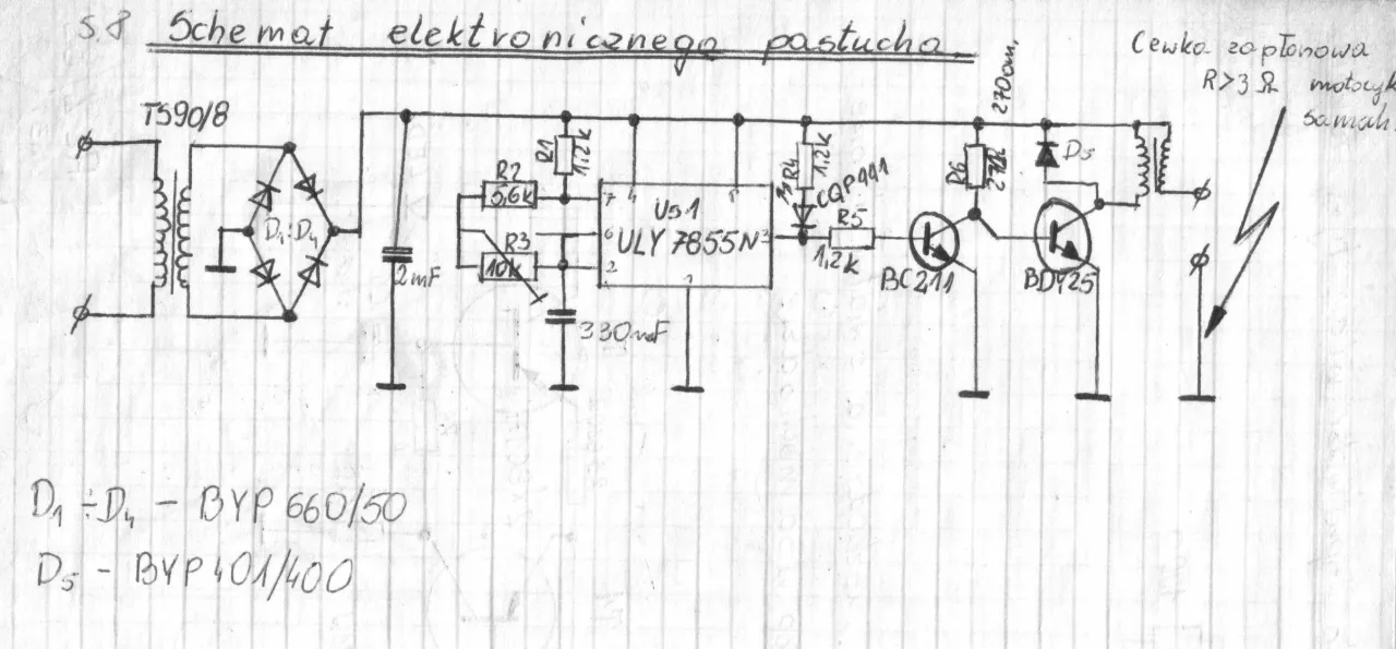 Zdjęcie Ile prądu zużywa pastuch elektryczny? Sprawdź, ile zapłacisz za energię