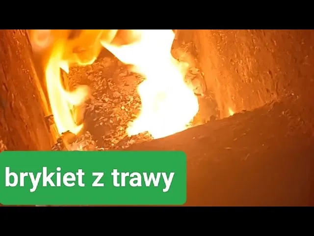Zdjęcie Jak zrobić brykiet z trawy - proste metody i cenne wskazówki