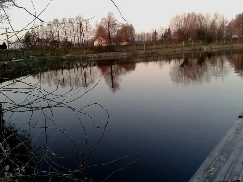 Zdjęcie Łowisko Młyn - idealne miejsce na wędkowanie i relaks w naturze