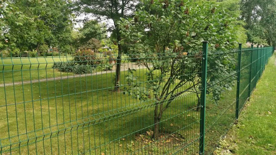Zdjęcie Ile kosztuje ogrodzenie panelowe? Przejrzysty przegląd cen i opcji