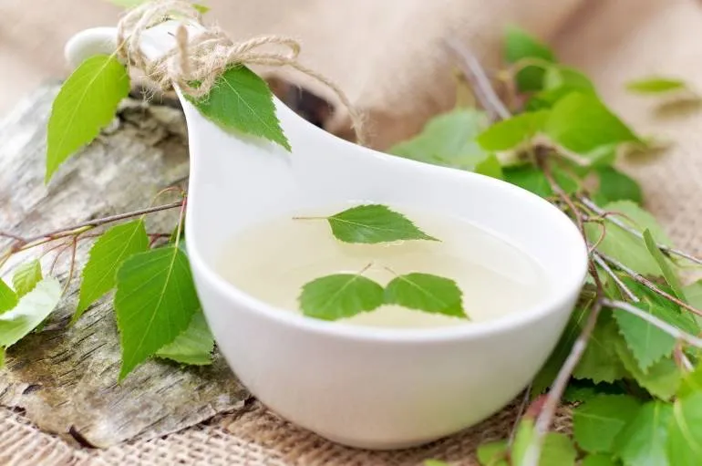 Zdjęcie Jaka herbata na zapalenie pęcherza? Odkryj skuteczne zioła, które pomagają