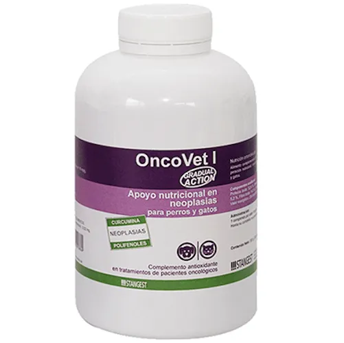 Zdjęcie Suplementos para perros con cáncer: ¿Cuáles son seguros y efectivos?