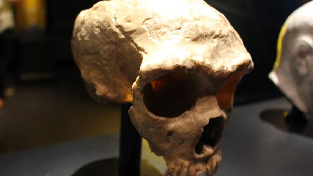 Zdjęcie Kto był pierwszy na świecie? Odkryj fascynujące historie i fakty