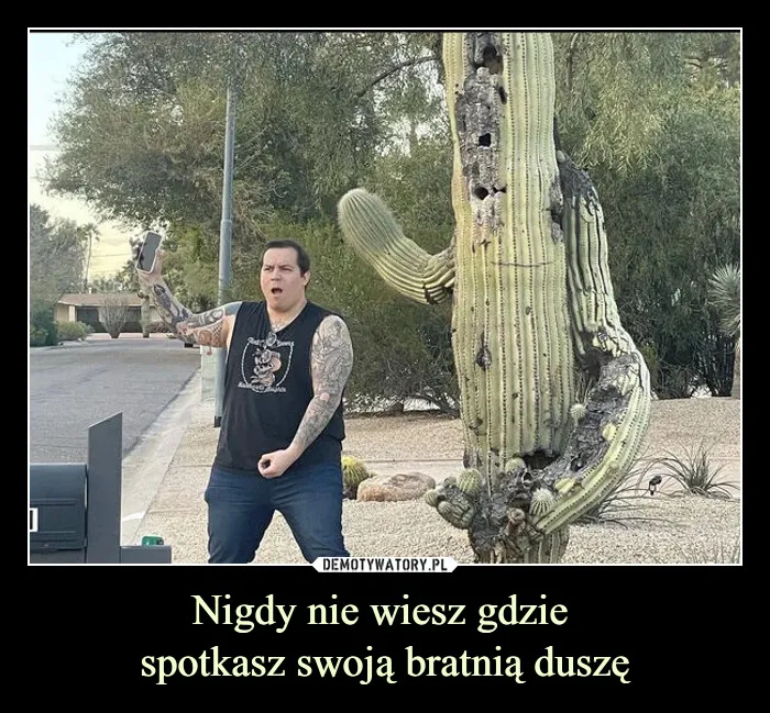 Zdjęcie Kiedy spotykasz bratnią duszę? 6 znaków, że to już czas na miłość