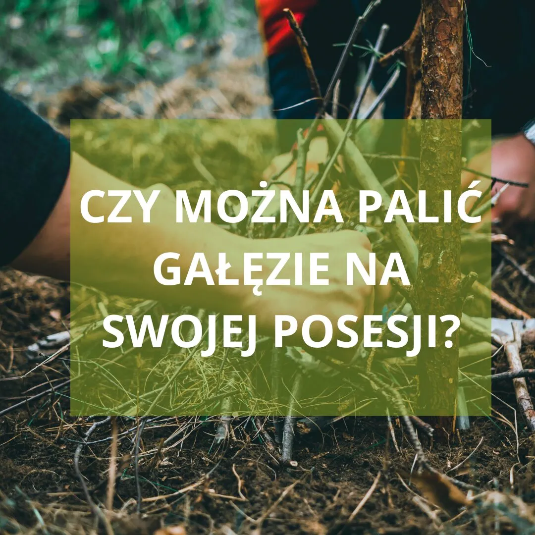 Zdjęcie Czy można palić ognisko na swojej posesji? Poznaj przepisy i zasady