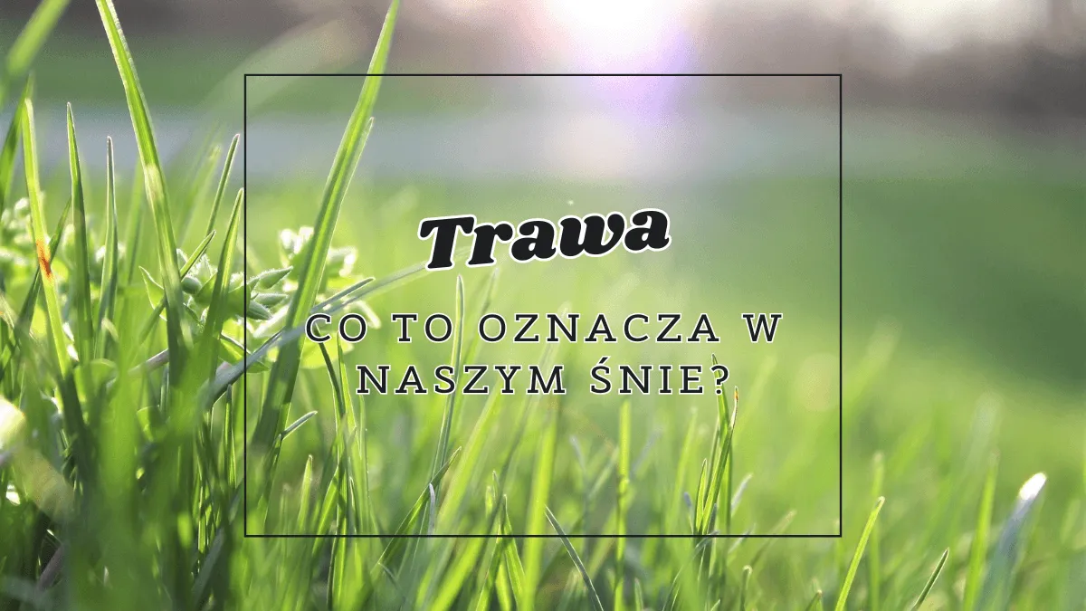 Zdjęcie Sennik: Co oznacza zielona trawa we śnie? Poznaj symbolikę marzeń