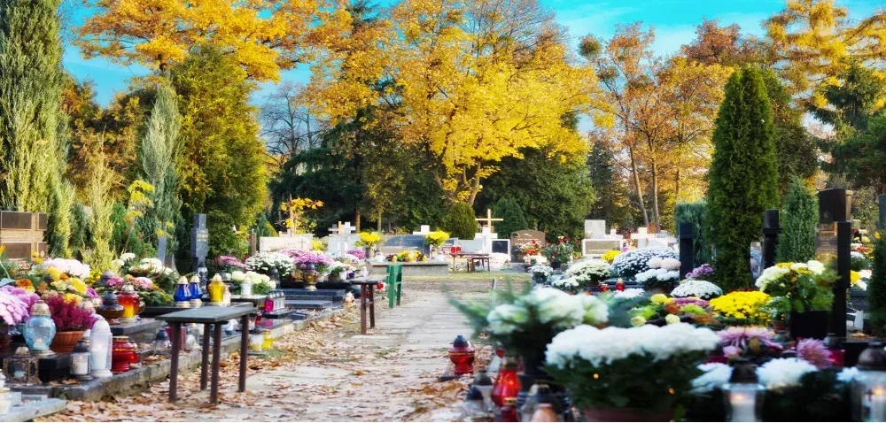 Zdjęcie Kto odpowiada za drzewa na cmentarzu i jakie są tego konsekwencje?